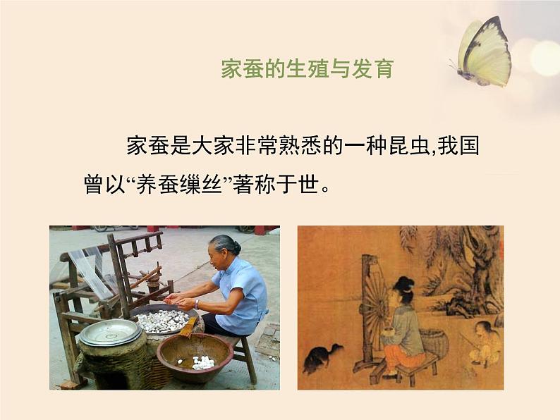 苏教版八年级下册生物 21.3昆虫的生殖与发育 课件04