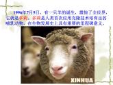 苏教版八年级下册生物 24.1现代生物技术的应用 课件