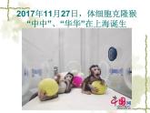 蘇教版八年級(jí)下冊(cè)生物 24.1現(xiàn)代生物技術(shù)的應(yīng)用 課件