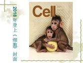蘇教版八年級(jí)下冊(cè)生物 24.1現(xiàn)代生物技術(shù)的應(yīng)用 課件