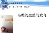 苏教版八年级下册生物 21.5鸟类的生殖与发育 课件