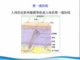 苏教版八年级下册生物 25.3免疫 课件