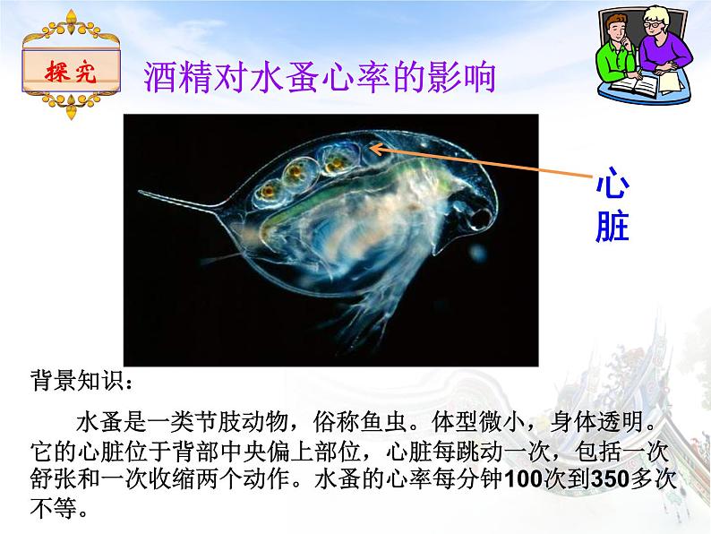 苏教版八年级下册生物 26.1远离烟酒 课件第6页