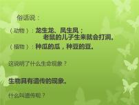 初中生物苏教版八年级下册第8单元 生物的生殖、发育与遗传第二十二章 生物的遗传和变异第一节 DNA是主要的遗传物质课文内容课件ppt