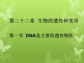 苏教版八年级下册生物 22.1DNA是主要的遗传物质 课件