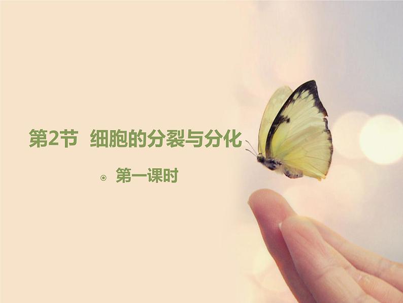 苏科版七年级下册生物 8.2细胞的分裂和分化 课件01