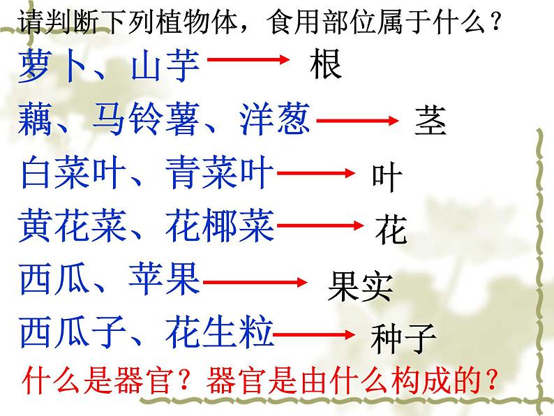 苏科版七年级下册生物 8.1生物体的基本结构 课件第6页