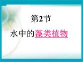 苏科版七年级下册生物 10.2水中的藻类植物 课件