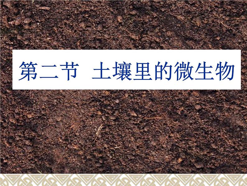 苏科版七年级下册生物 13.2土壤里的微生物 课件01