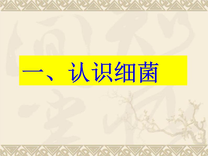 苏科版七年级下册生物 13.2土壤里的微生物 课件06