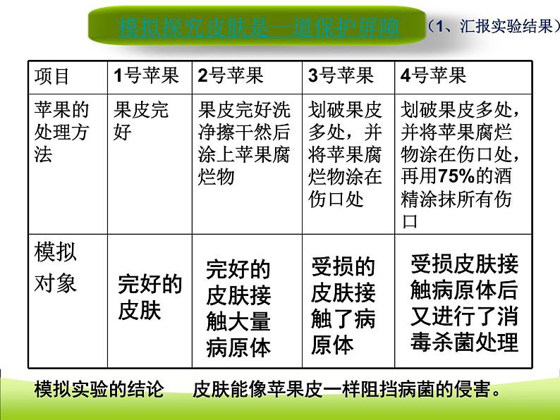 苏科版八年级下册生物 24.1人体的免疫防线 课件第5页