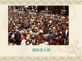 苏科版八年级下册生物 26.1人口增长对生态环境的影响 课件