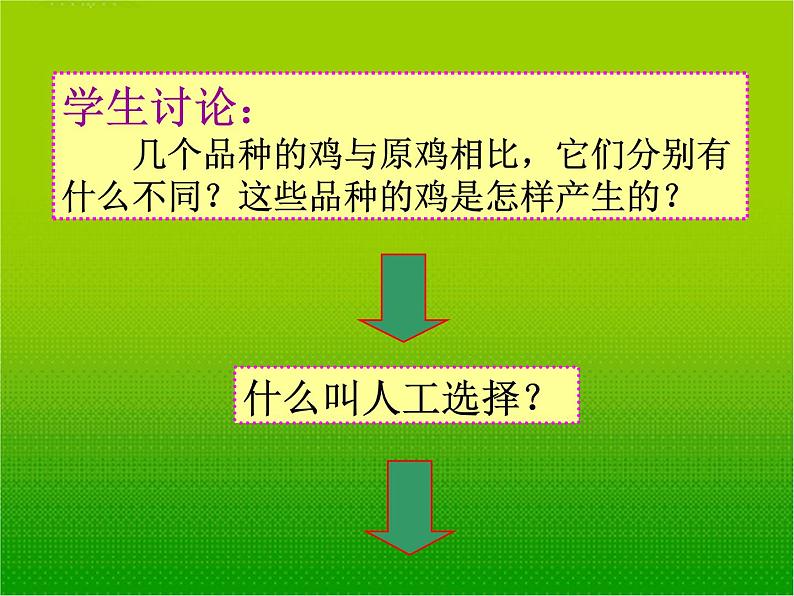 苏科版八年级下册生物 23.3生物进化的原因 课件07