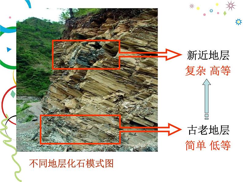 苏科版八年级下册生物 23.2生物进化的历程 课件02