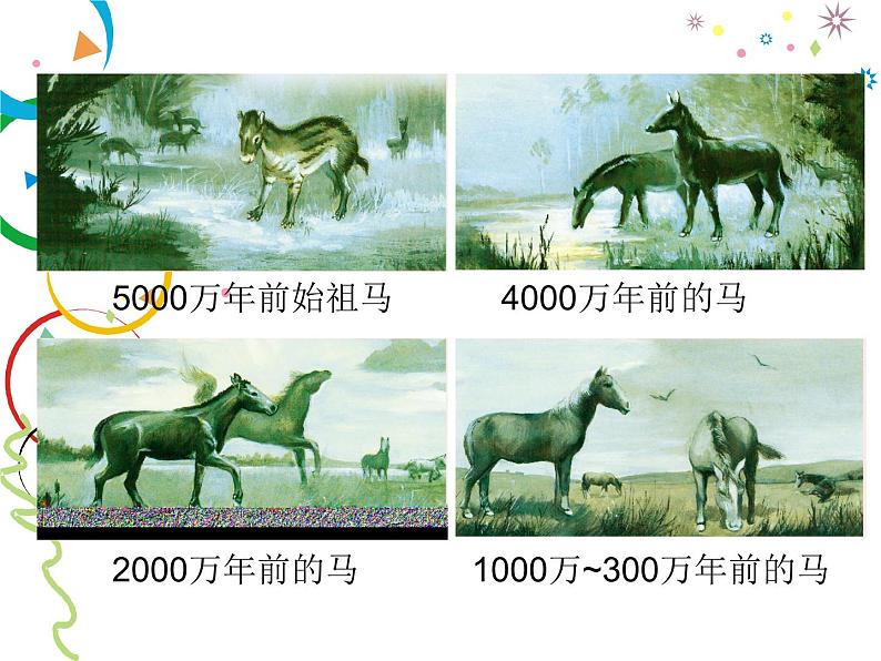 苏科版八年级下册生物 23.2生物进化的历程 课件05