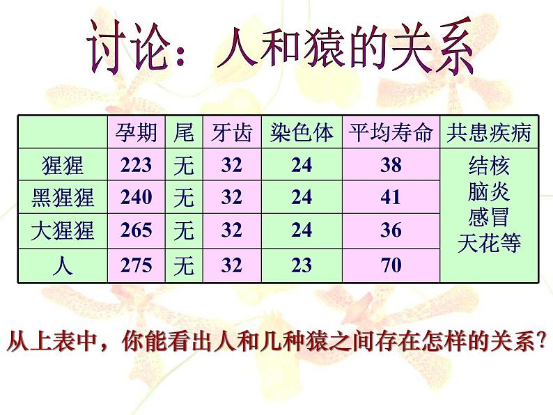 苏科版八年级下册生物 23.4人类的起源和进化 课件第6页