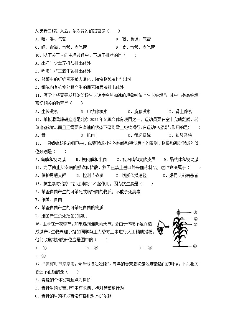 2022年山东省济宁市泗水县中考一模生物试题03