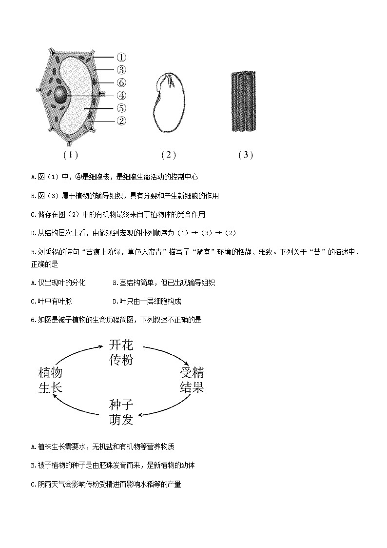 2022年山东省聊城市冠县中考一模生物试题第2页