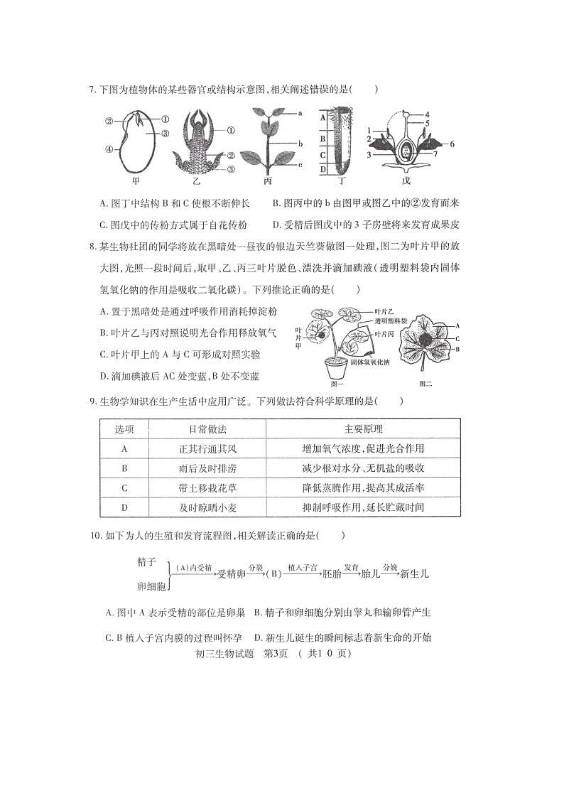 2022年山东省济宁市任城区一模生物试题03