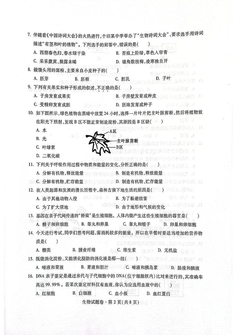 2022年云南省红河州个旧市第一次模拟考试（一模）生物试题02