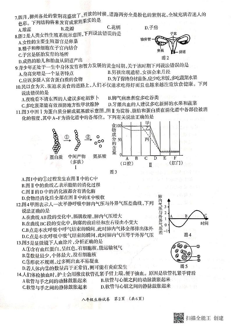 2022年广西柳州市柳江区中考一模生物试题02