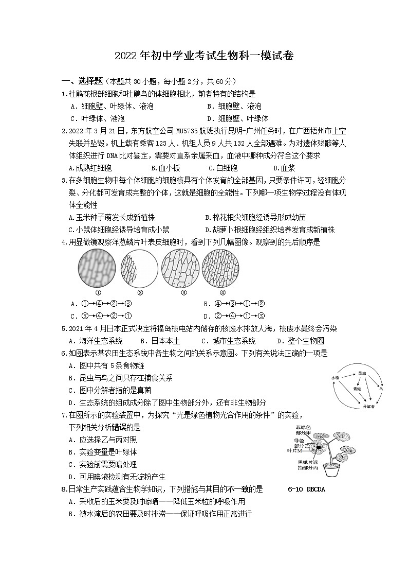 2022年广东省揭阳市揭东区初中学业水平考试第一次模拟考生物试题(word版无答案)第1页