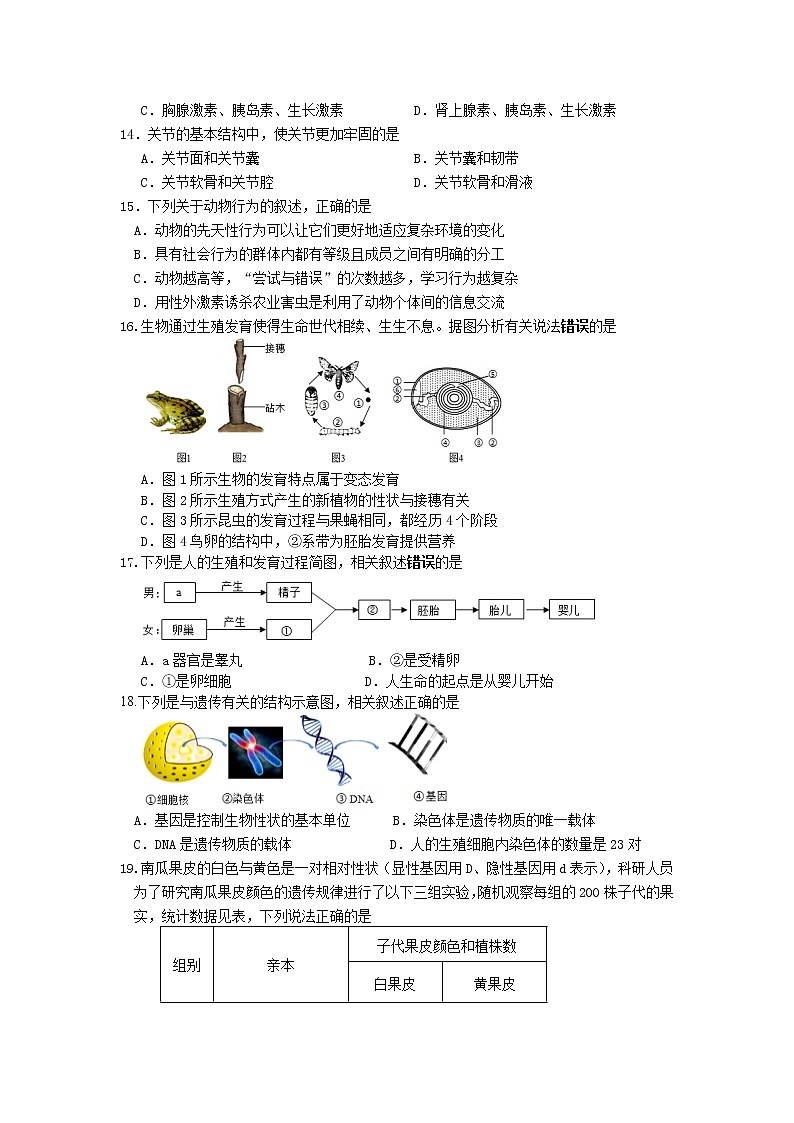 2022年广东省揭阳市揭东区初中学业水平考试第一次模拟考生物试题(word版无答案)第3页