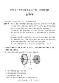 2022年广东省阳江市初中学业水平第一次模拟考试（一模）生物试题（含答案）