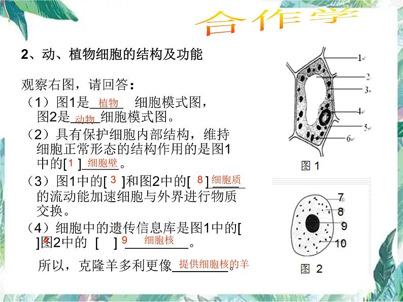 专题二   生物体的结构层次（复习）优质课件05