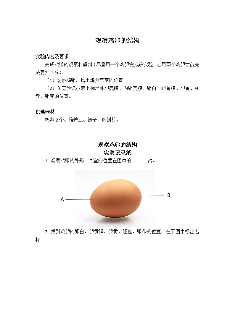 初中生物苏教版八年级实验操作题库-30观察鸡卵的结构01