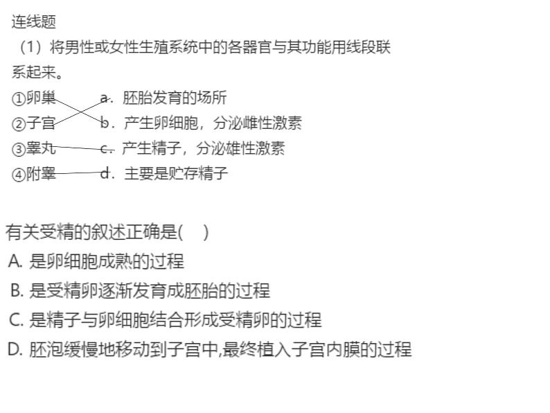 人教版生物七年级下册《人的生殖》课件+习题02