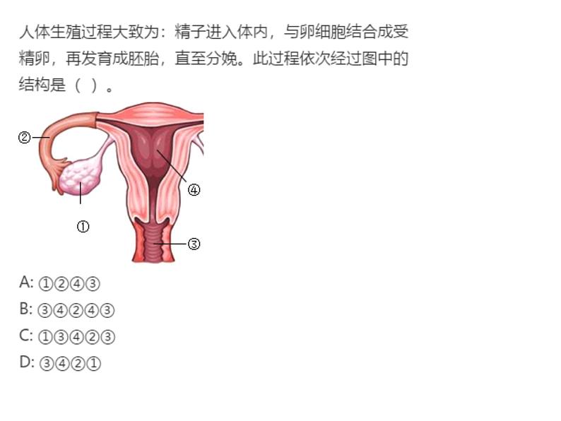 人教版生物七年级下册《人的生殖》课件+习题05