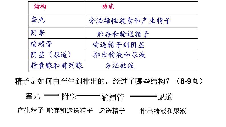 人教版生物七年级下册《人的生殖》课件+习题05