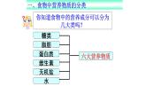 人教版生物七年级下册《食物中的营养物质》课件+习题