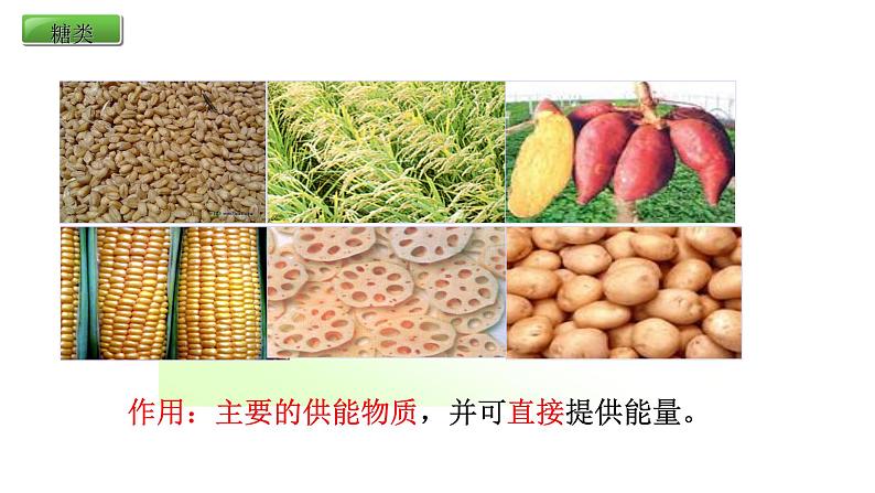 人教版生物七年级下册《食物中的营养物质》课件+习题05