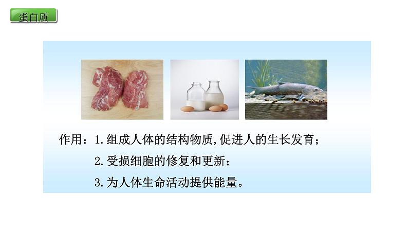 人教版生物七年级下册《食物中的营养物质》课件+习题07
