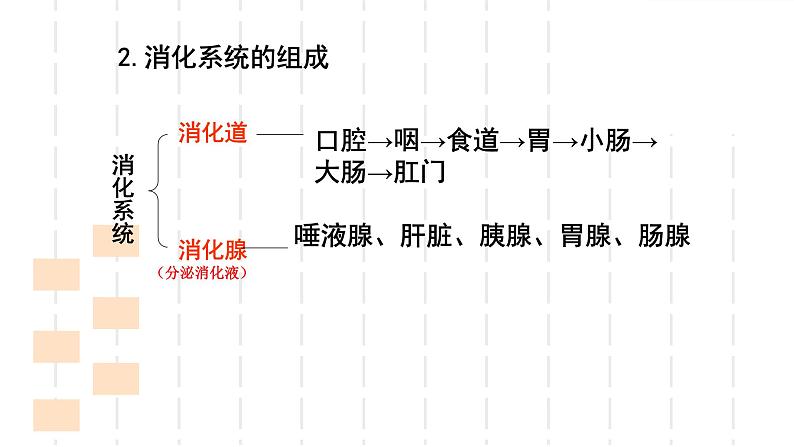 人教版生物七年级下册《消化和吸收》课件+习题05