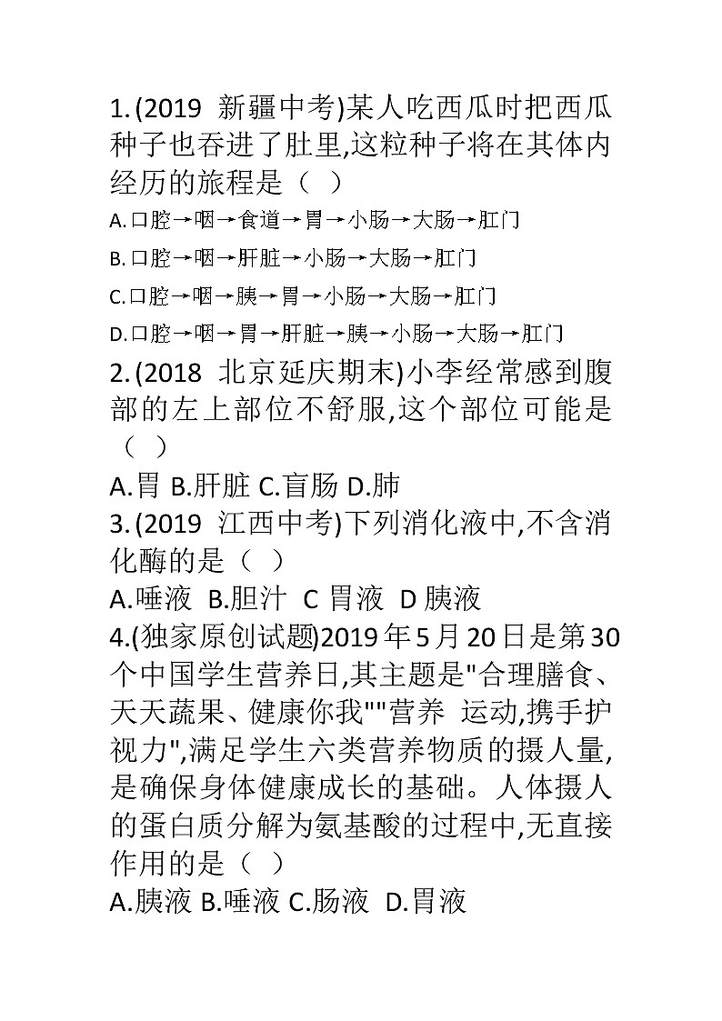 人教版生物七年级下册《消化和吸收》课件+习题01