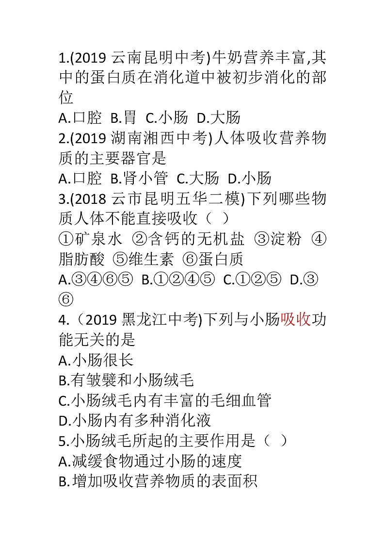 人教版生物七年级下册《消化和吸收》课件+习题01