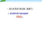 人教版生物七年级下册《发生在肺内的气体交换》课件+习题