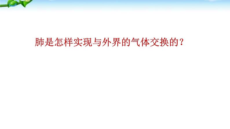 人教版生物七年级下册《发生在肺内的气体交换》课件第6页
