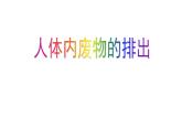 人教版生物七年级下册《人体内废物的排出》课件+习题
