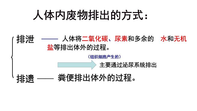 人教版生物七年级下册《人体内废物的排出》课件+习题03