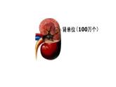 人教版生物七年级下册《人体内废物的排出》课件+习题
