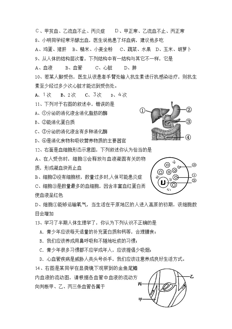 四川省内江市威远县凤翔中学2021-2022学年七年级下学期期中考试生物试题第2页