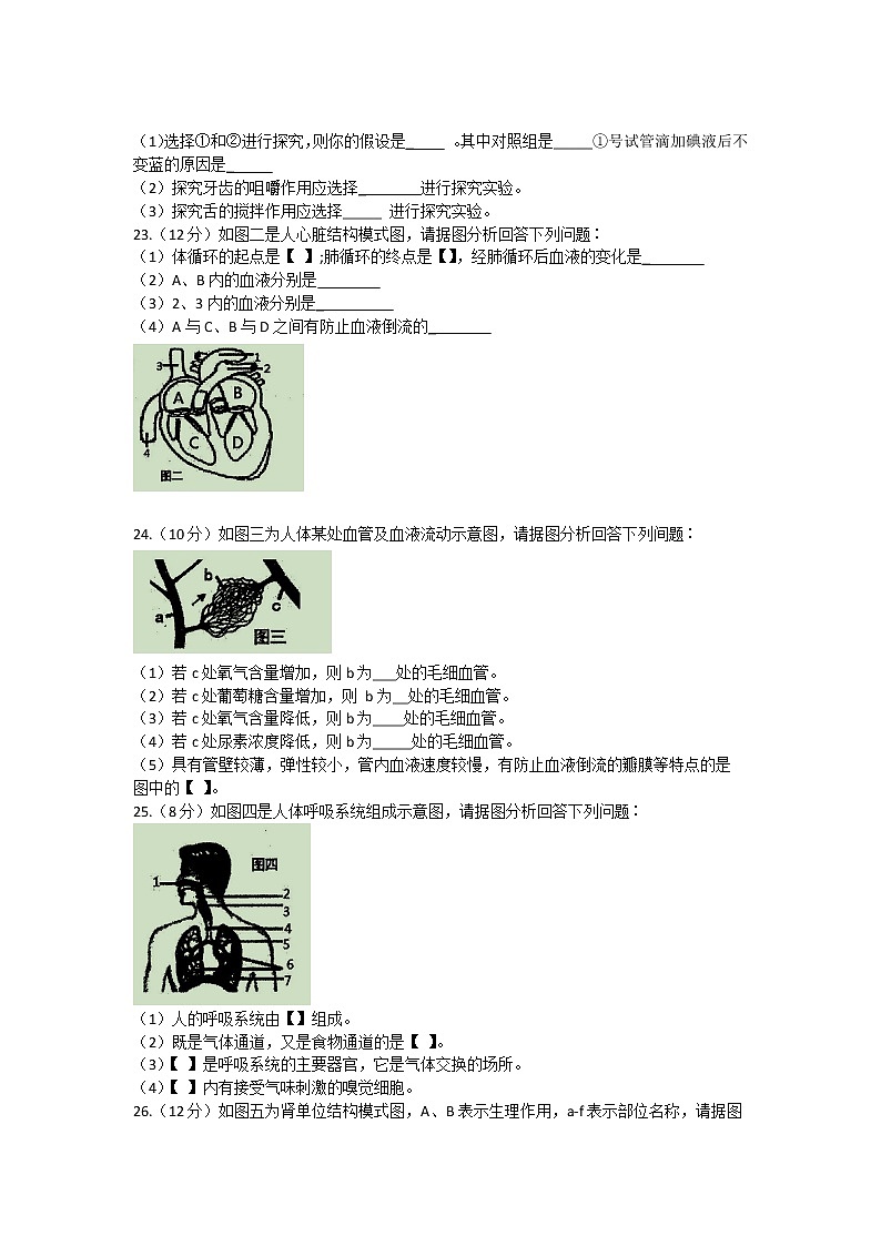 广西贵港市覃塘区2021-2022学年七年级下学期期中生物试题（含答案）第3页