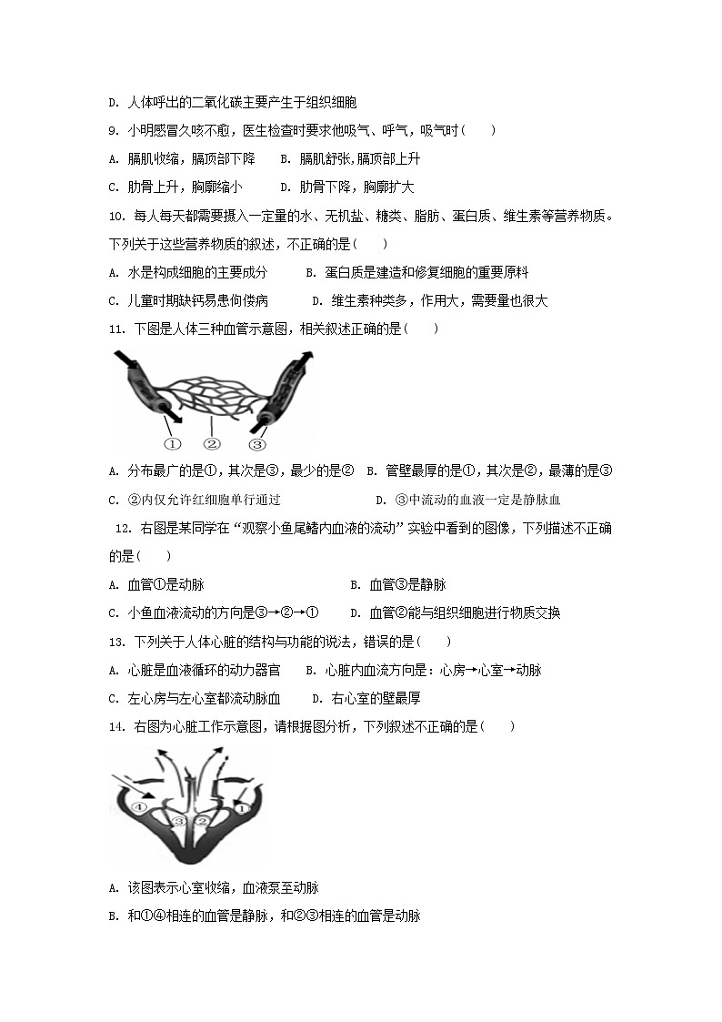 湖北省恩施市崔坝镇民族中学2021-2022学年七年级下学期期中复习生物测试题（含答案）02