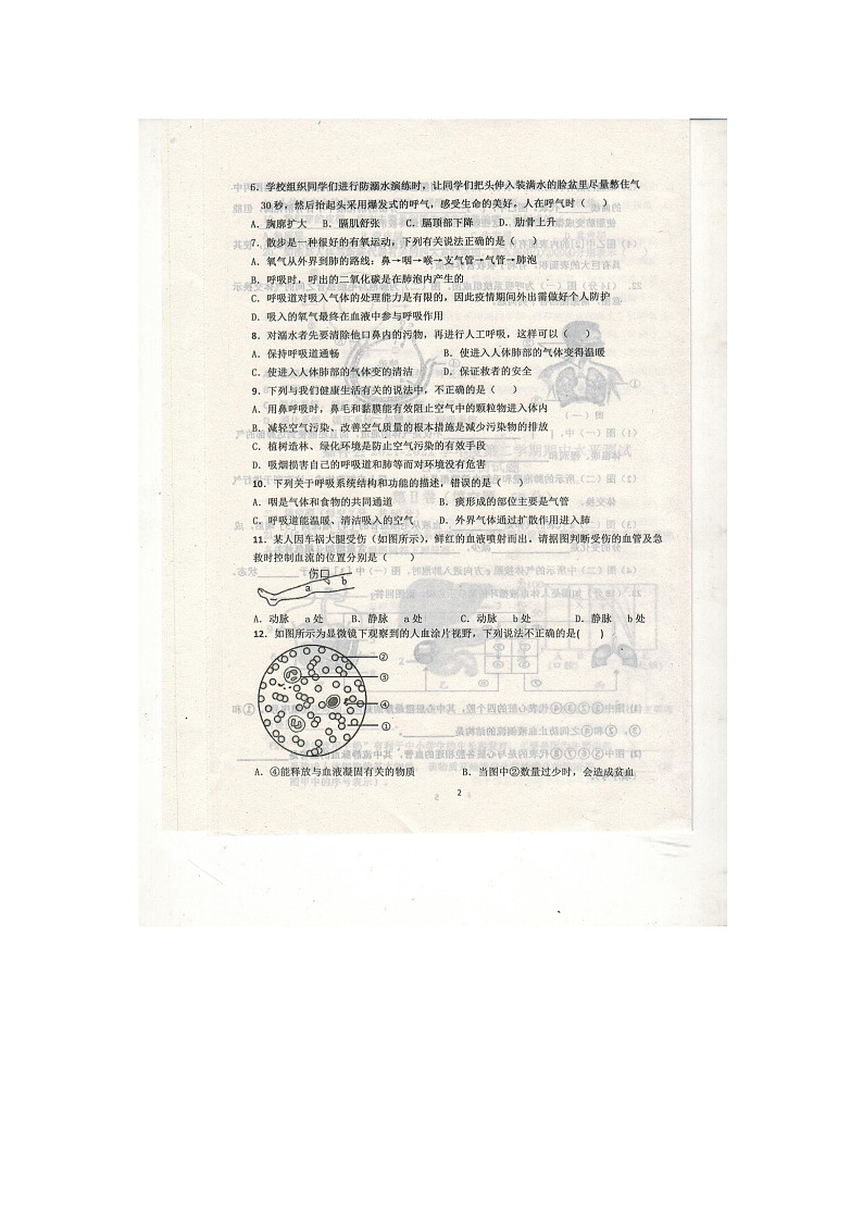 山东省嘉祥县2021-2022学年七年级第二学期期中生物试题（有答案）第2页