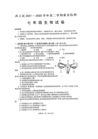 河南省洛阳市西工区2021-2022七年级下学期期中生物质量检测试题（有答案）