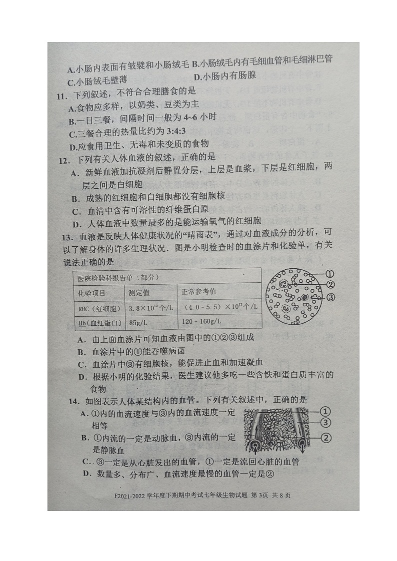 河南省周口市扶沟县2021-2022学年七年级下学期期中考试生物试卷（有答案）第3页